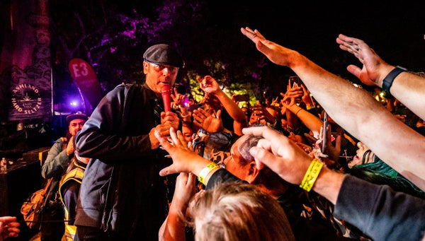 Punk In The Park 2022